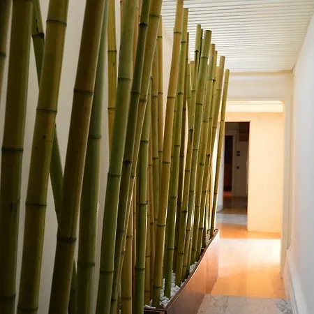 Lauri Loft *