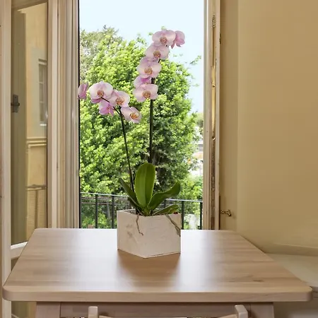 Lauri Loft Affittacamere